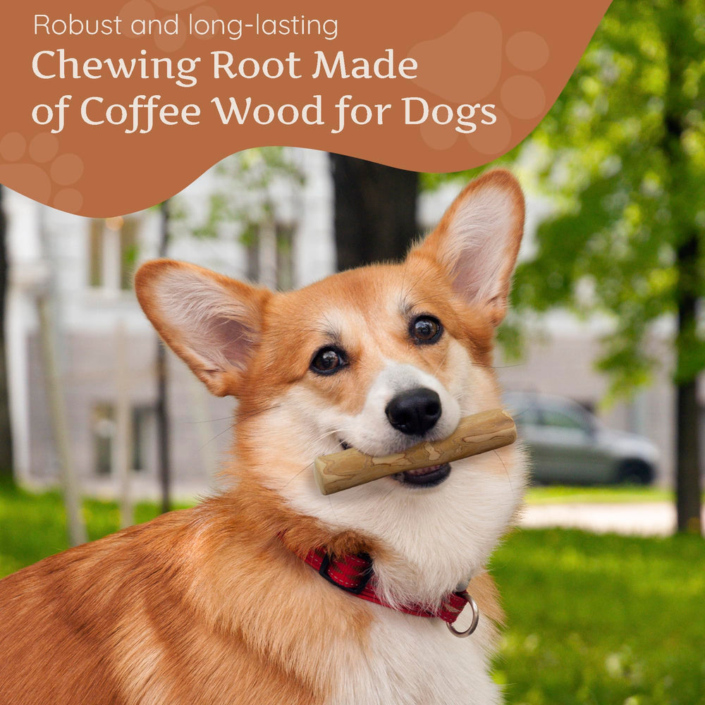 Wildfang Coffee Wood Dog Chew small texture highlights splinter resistance for safe chewing.