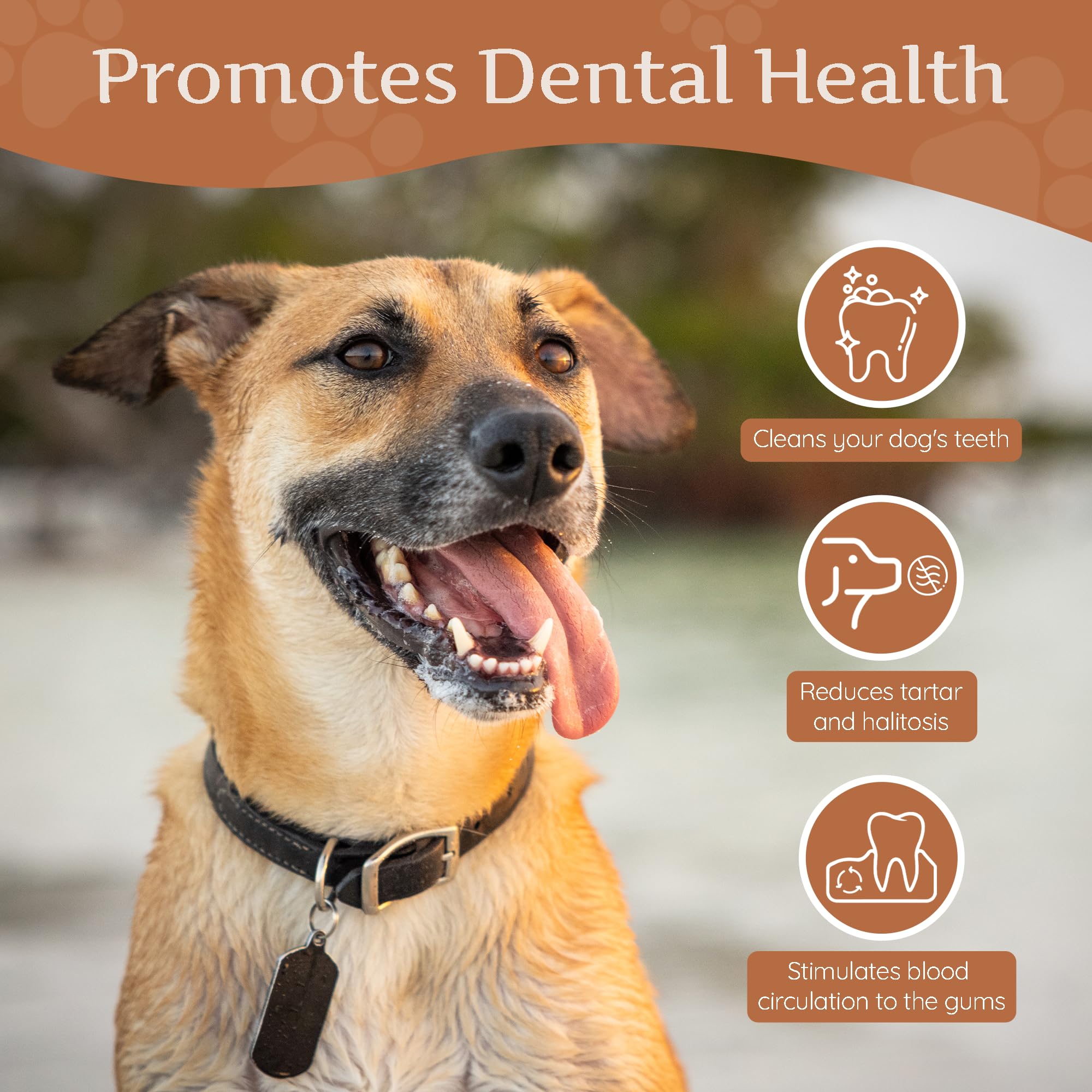 Wildfang Coffee Wood Dog Chew XL provides mental stimulation for longer chew sessions.
