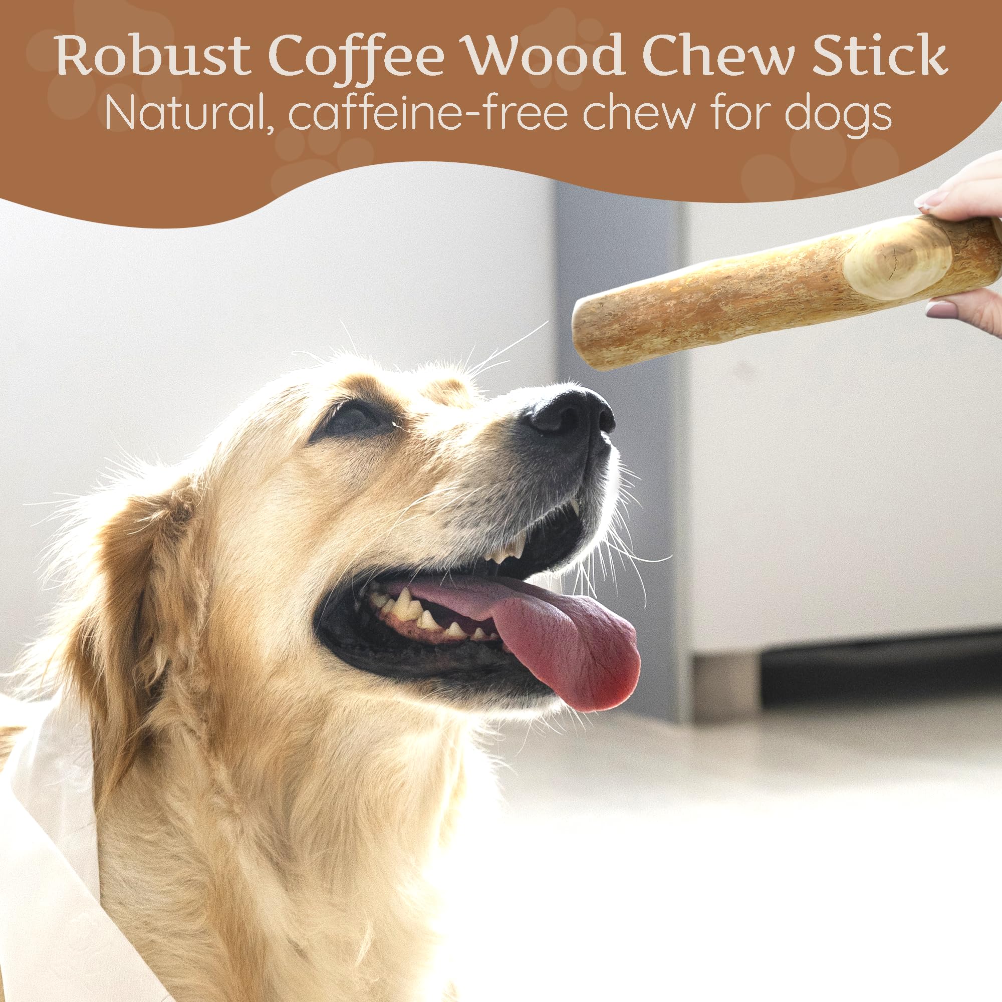 Wildfang Coffee Wood Dog Chew XL splinter-resistant build for safer chewing.