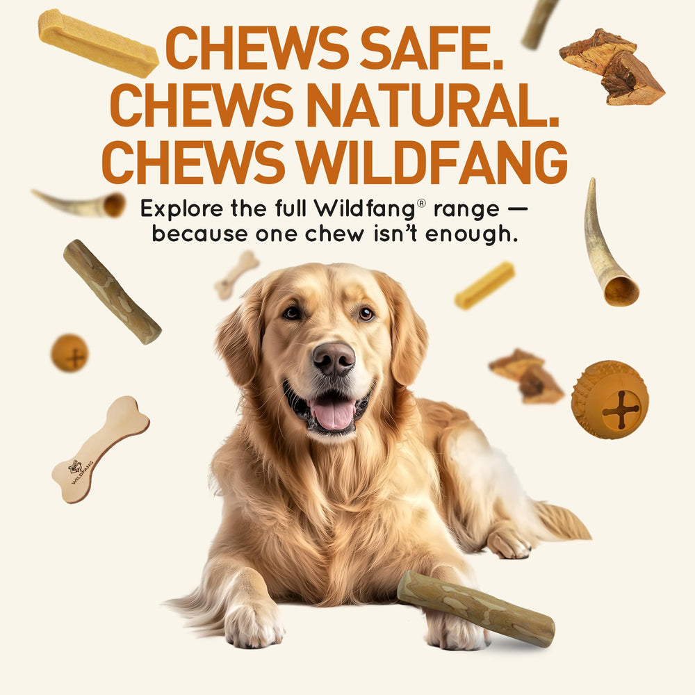 Wildfang Coffee Wood Dog Chew XS aggressive-chewer suitability with durable, long-lasting chew stick.