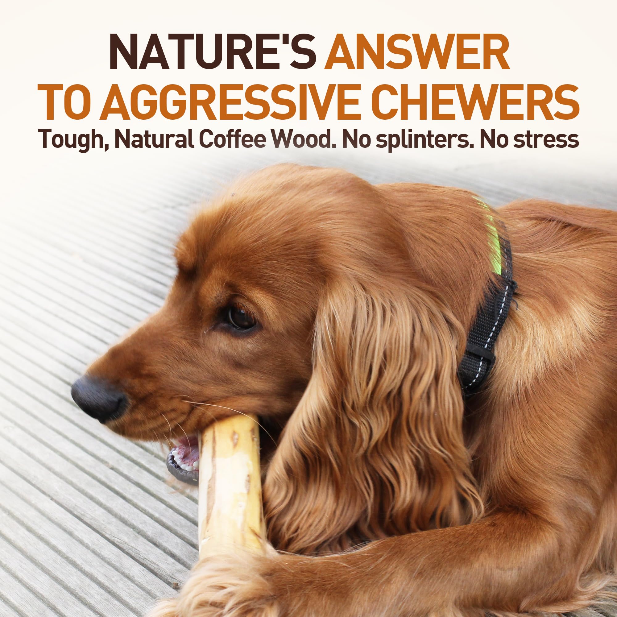 Wildfang Coffee Wood Dog Chew XS compact-travel ready, ideal for on-the-go convenience.