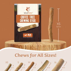 Wildfang Coffee Wood Dog Chew XS dental-action demonstrates natural gum care during chewing.
