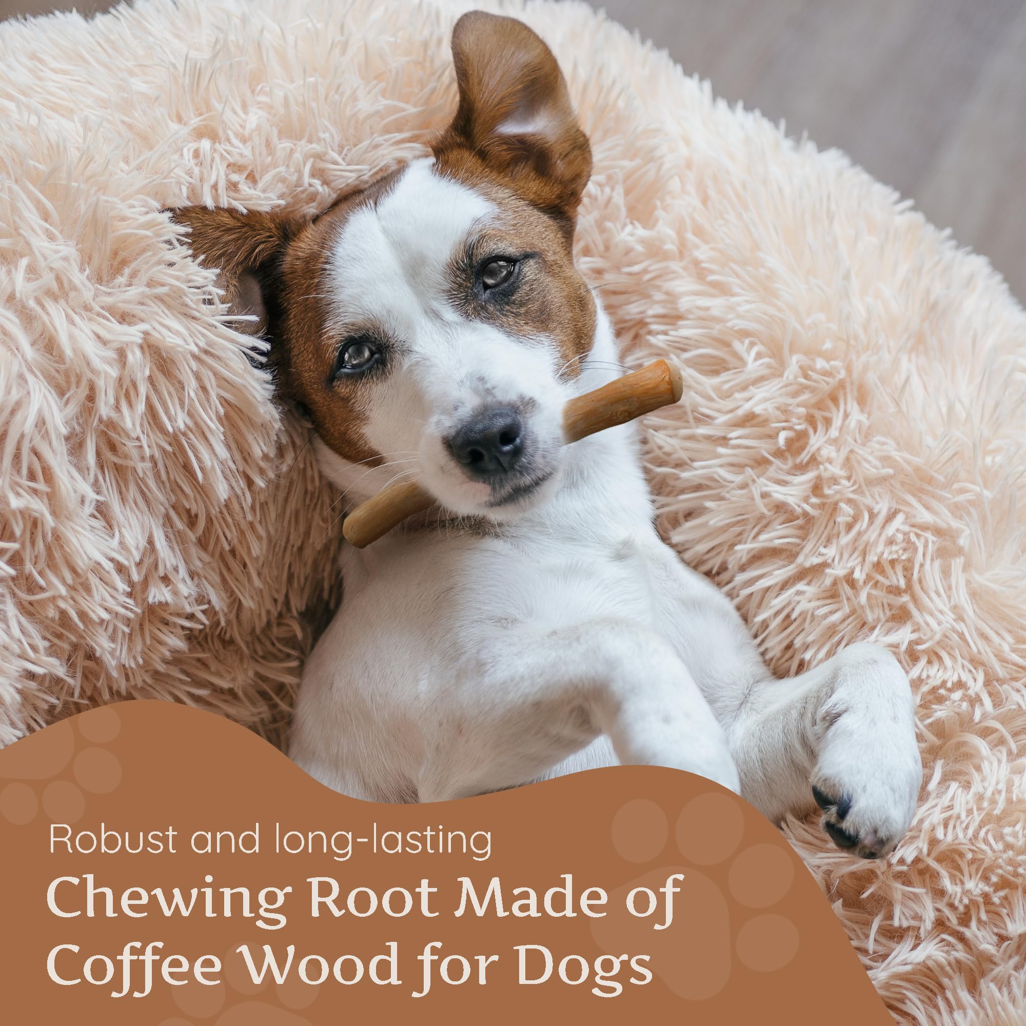 Wildfang Coffee Wood Dog Chew XS safety-monitoring note highlights supervised use and size guidance.