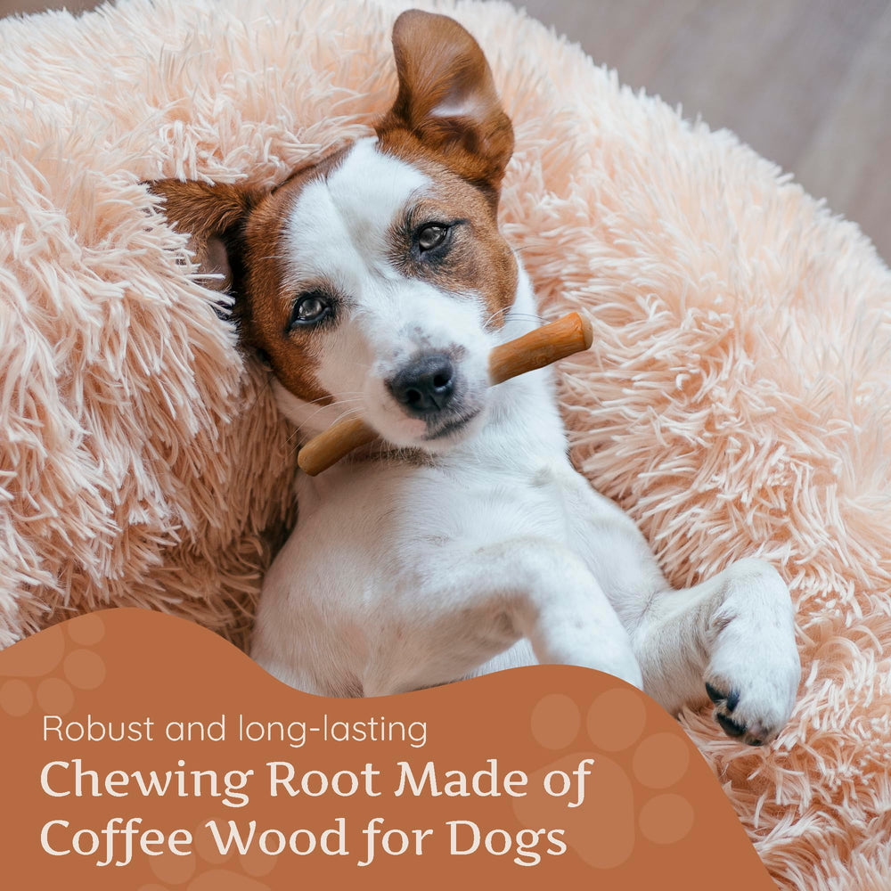 Wildfang Coffee Wood Dog Chew XS safety-monitoring note highlights supervised use and size guidance.
