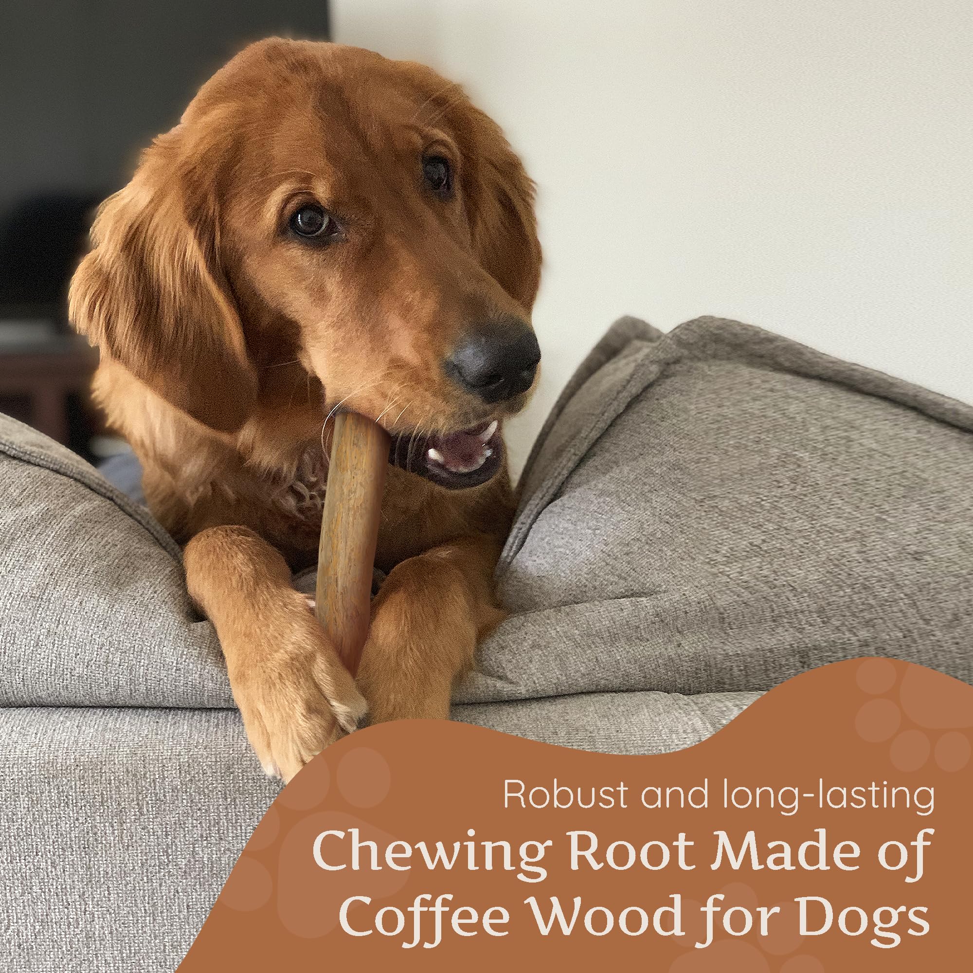 Wildfang Coffee Wood Stick for large dogs soothing teething and dental care
