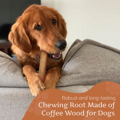 Wildfang Coffee Wood Stick for large dogs soothing teething and dental care