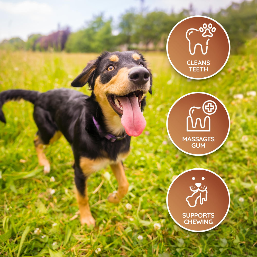 Wildfang leather bone small texture detail shows greased leather