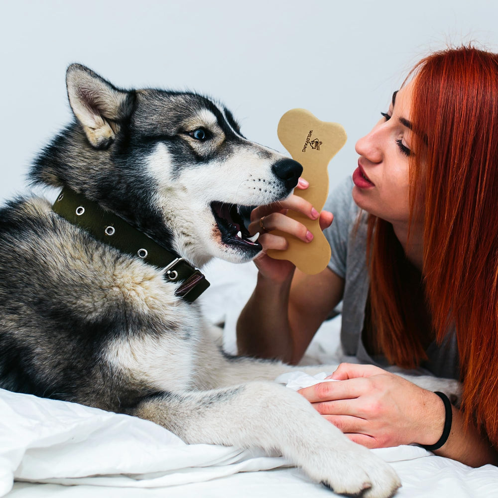 Wildfang leather dog toy large care-maintenance image hints simple upkeep.