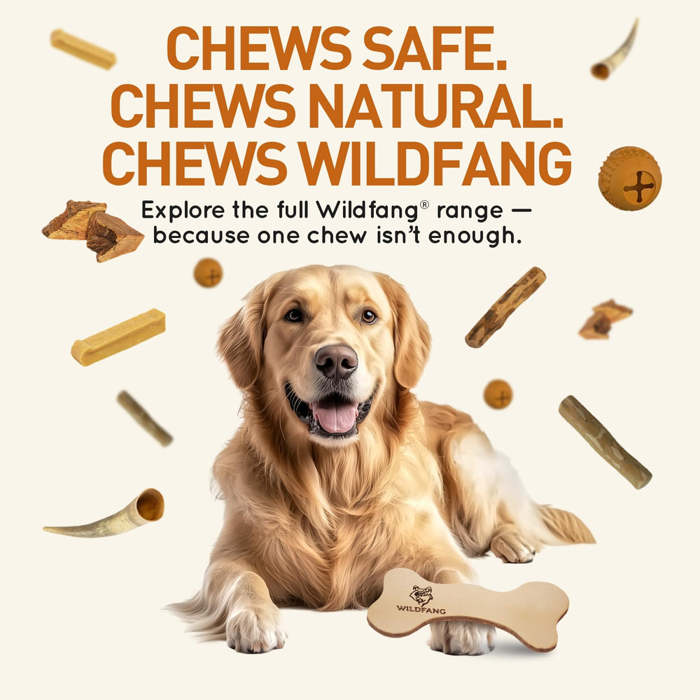 Wildfang leather dog toy large durability-wear conveys lasting chew value.