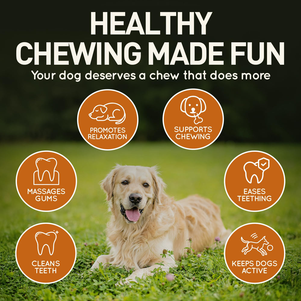 Wildfang leather dog toy large teething detail highlights gentle-on-gums design.