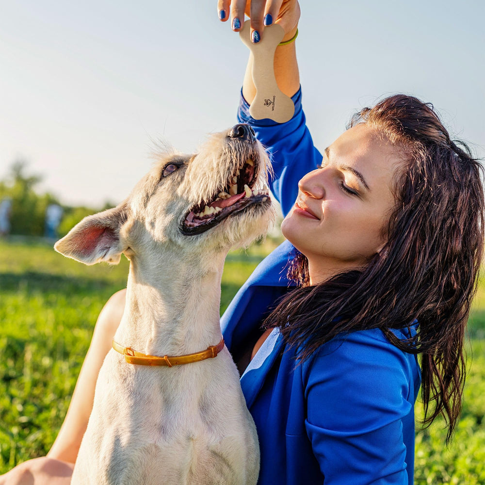 Wildfang Leather Dog Toy Medium safety-supervised chew for responsible chewers