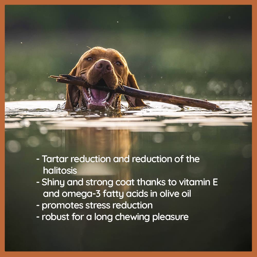 Wildfang Olive Wood Chewing Stick small dog-teething use supports calmer chewing.