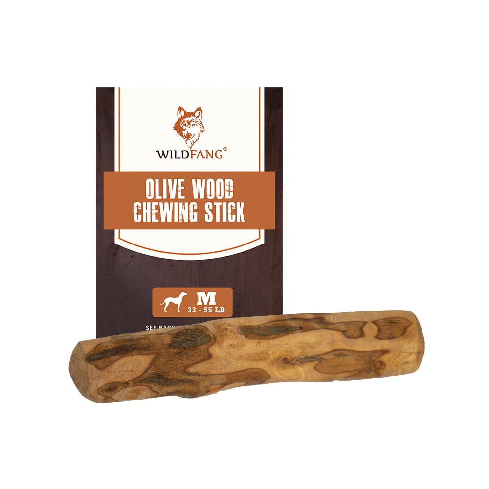 Wildfang Olive Wood Chewing Stick small front view supports dental care.