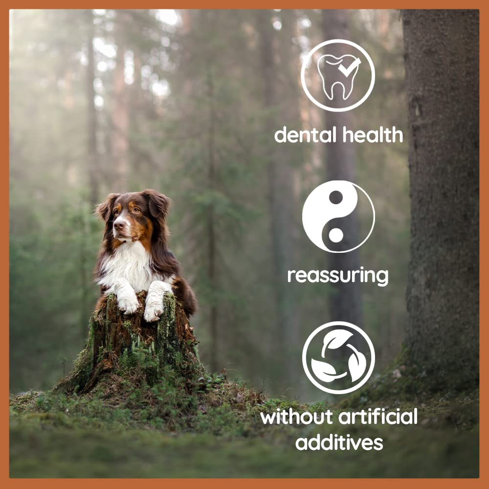 Wildfang Olive Wood Chewing Stick packaging display highlights a safe indoor chew.