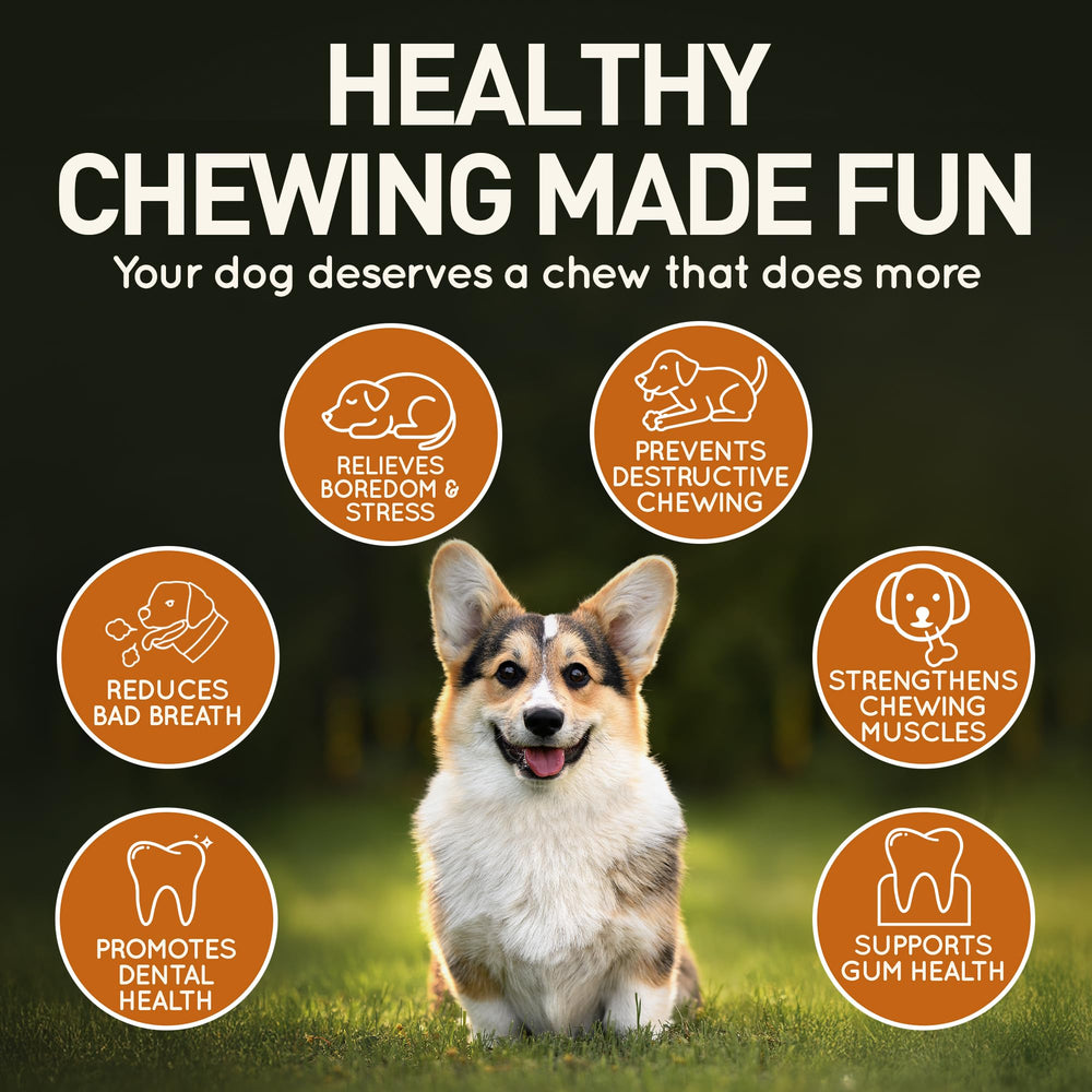 Wildfang olive wood dental health benefit; chews support gum circulation and mouth health.