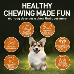 Wildfang olive wood dental health benefit; chews support gum circulation and mouth health.