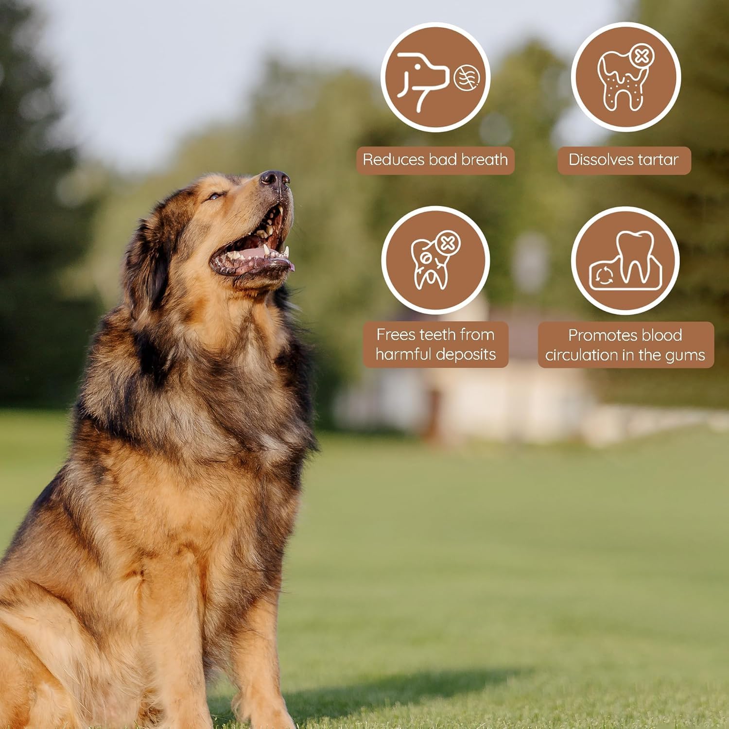 Wildfang heavy-chewer session image; large dog enjoying durable chew for boredom relief.