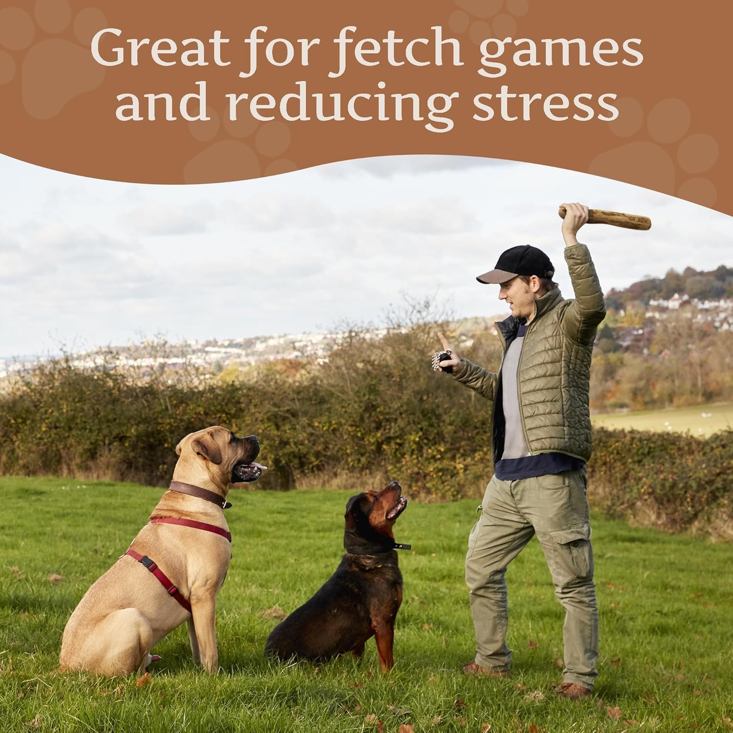 Wildfang indoor-safe chew image; ideal for keeping dogs engaged indoors.