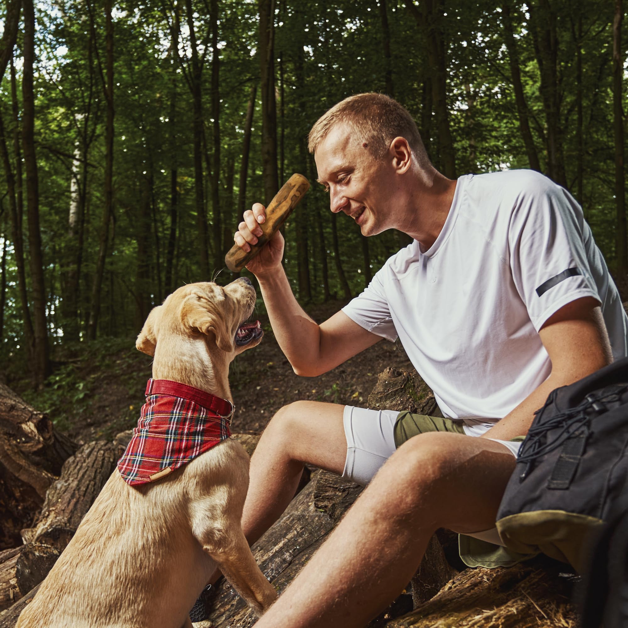 Wildfang olive oil infusion close-up image; natural conditioning for skin and coat during chewing.