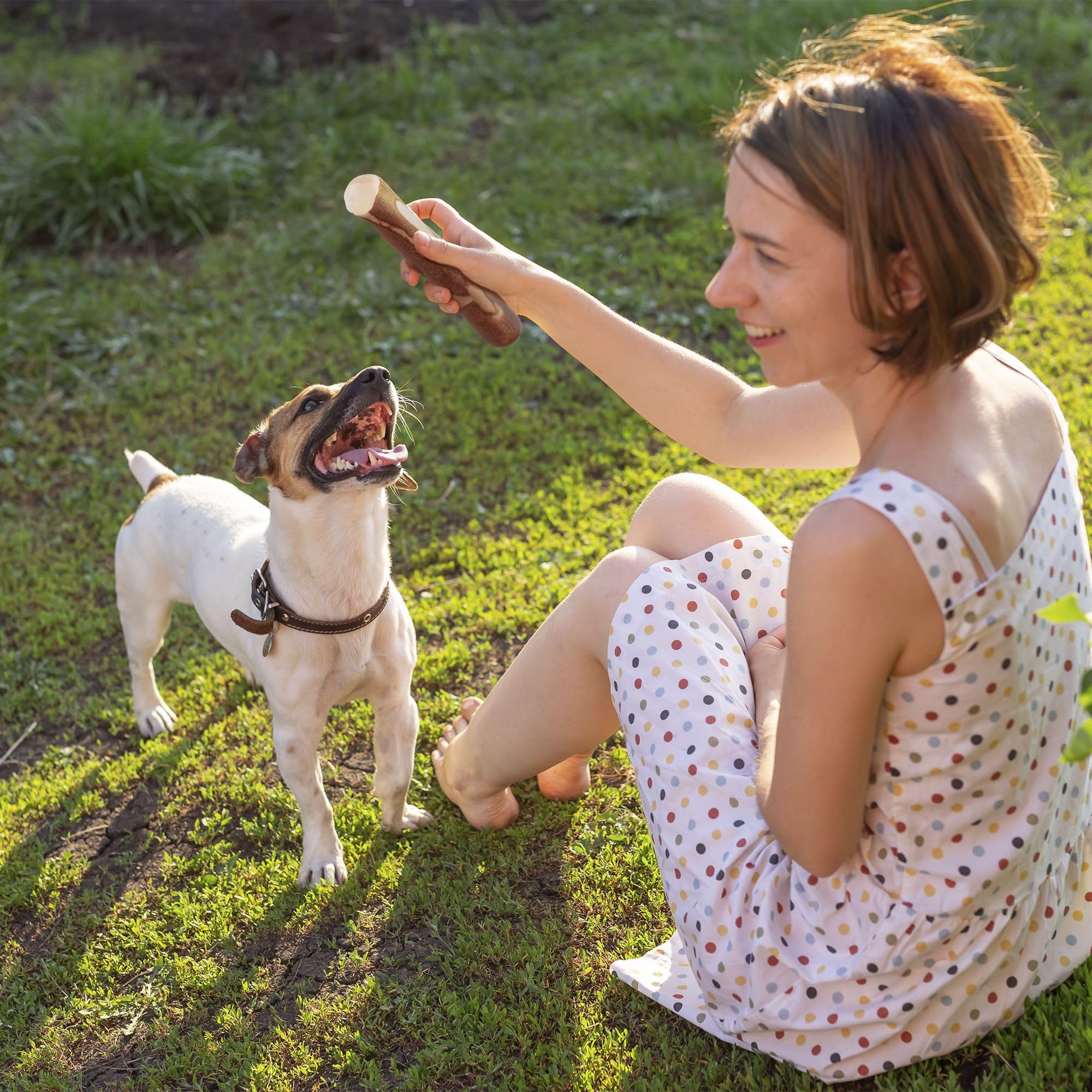 Wildfang Olive Wood Stick training-activity scene with focused dog