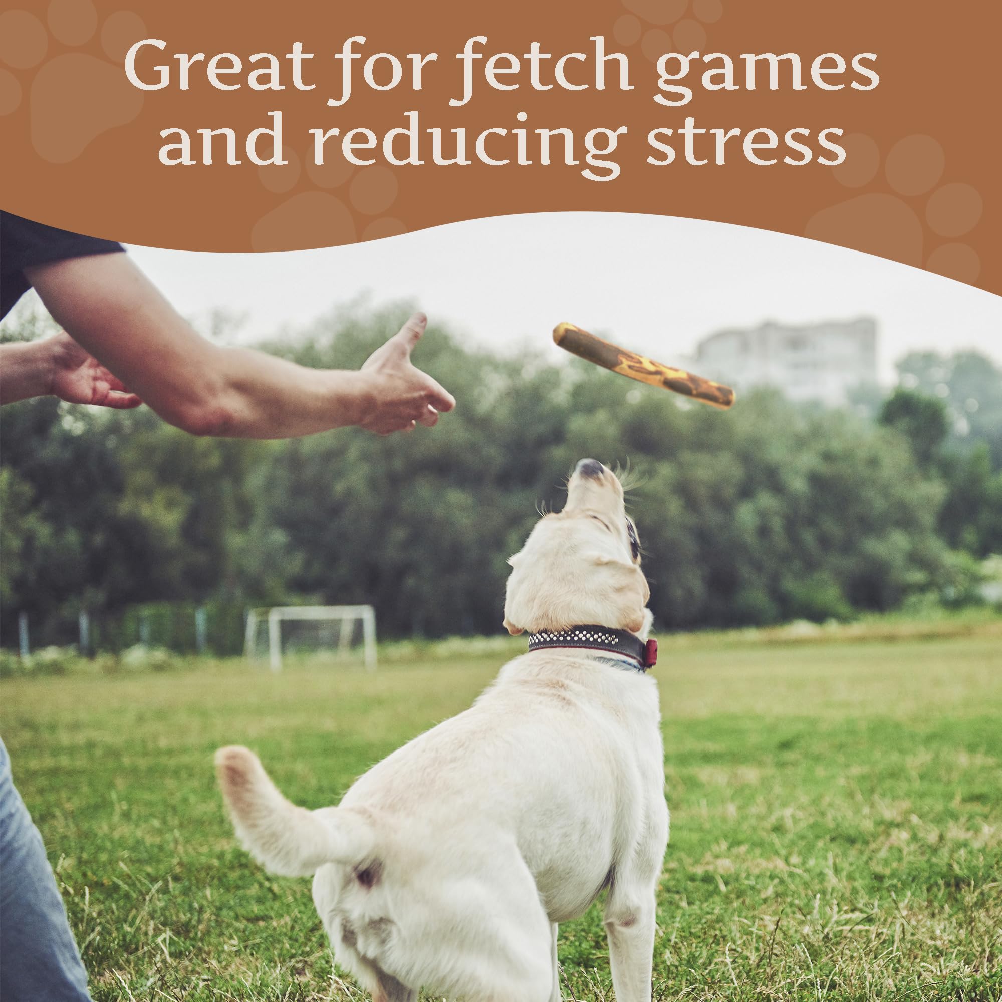 Wildfang Olive Wood Stick used at home during play and training