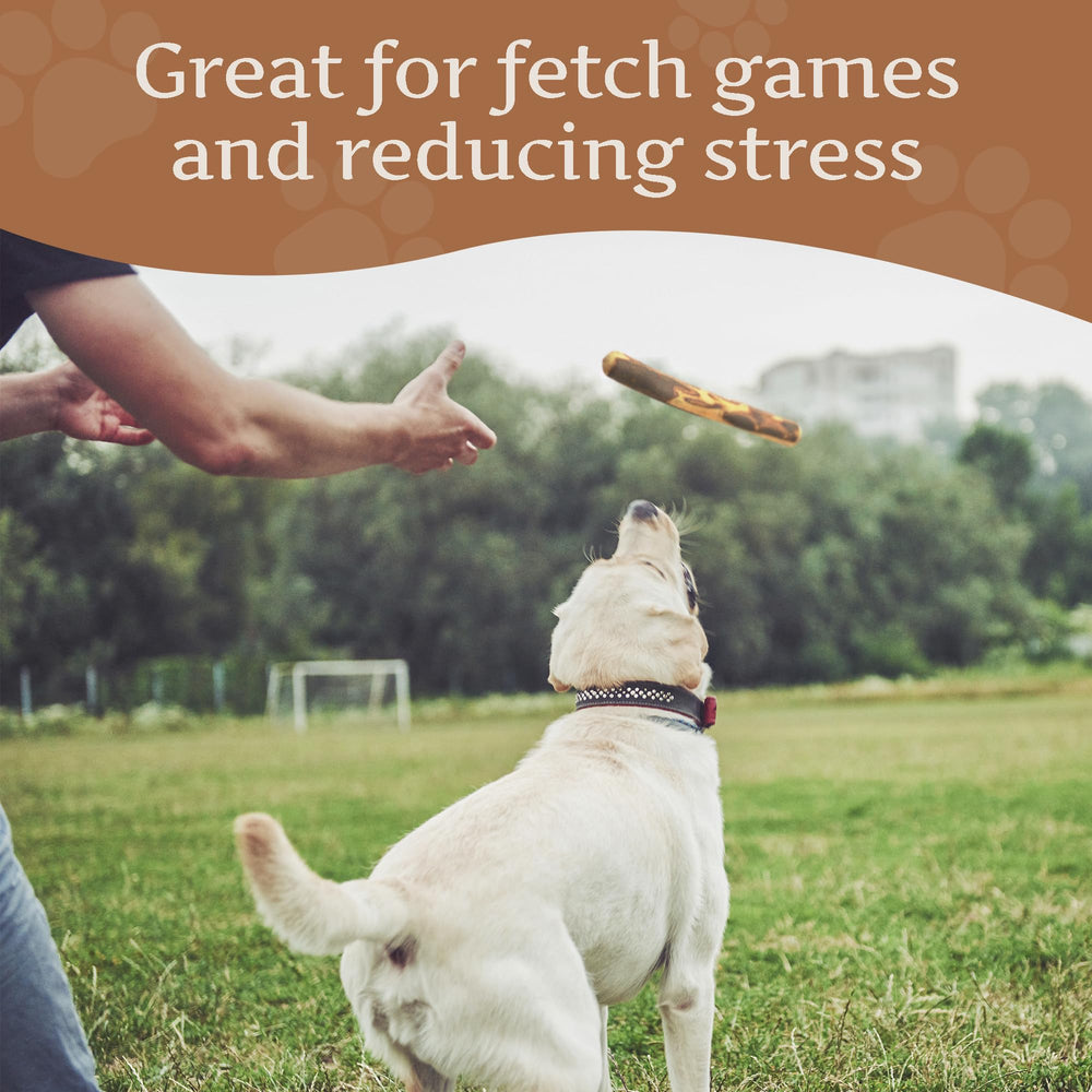 Wildfang Olive Wood Stick used at home during play and training