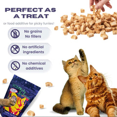 WildSideSalmon cat treats bag featuring wild salmon—grain-free option for sensitive digestion.