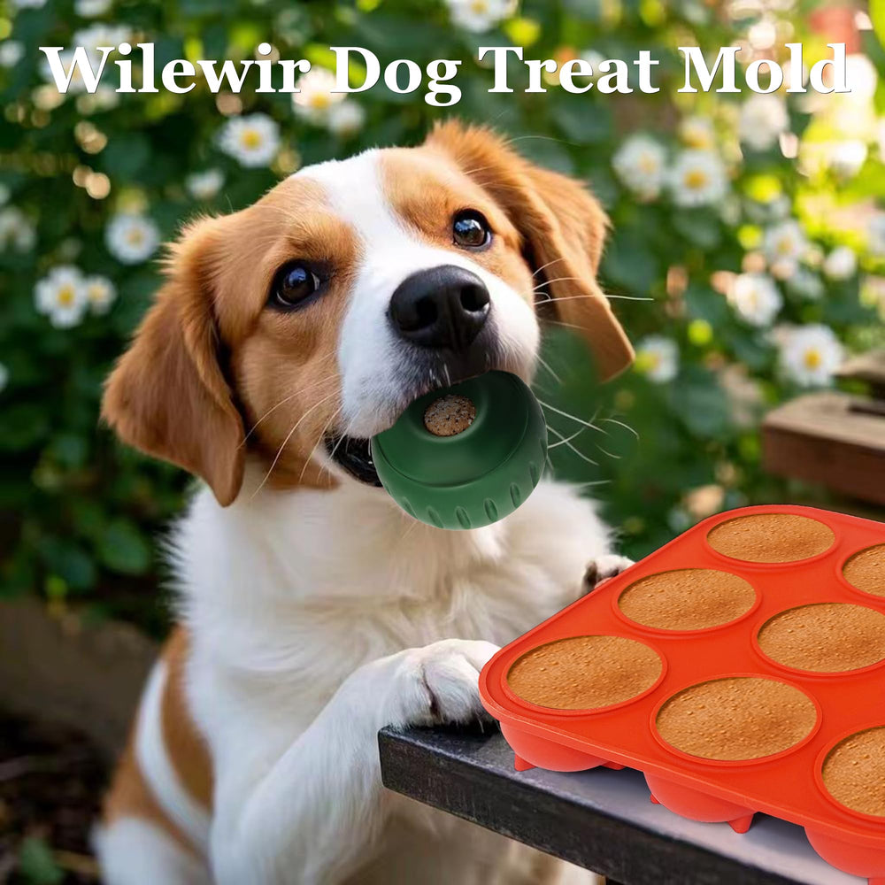 Wilewir dog-snacks prep with fish and vegetables signals customizable treats.
