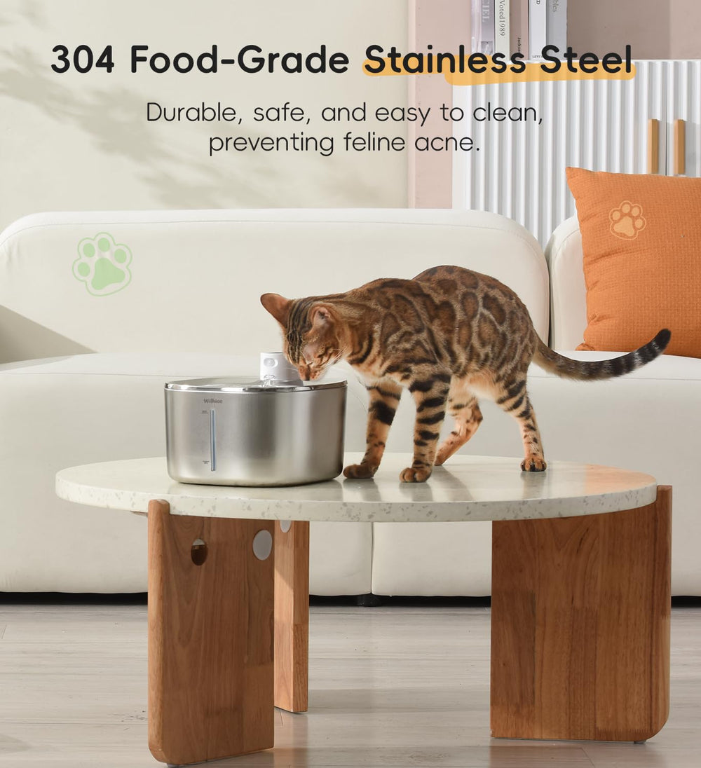 WILKIEE cat fountain quiet operation image conveying near-silent performance