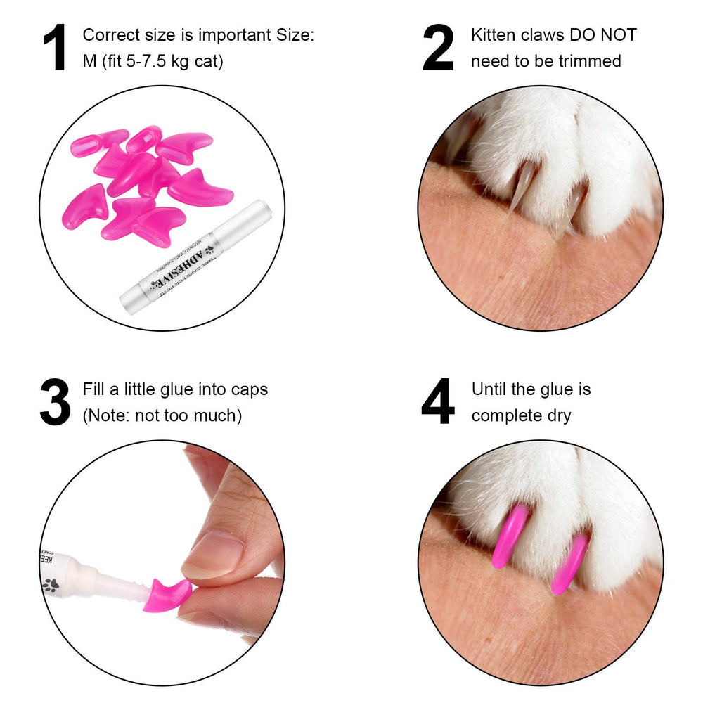 WILLBOND safety certifications EU SGS indicate tested safety for pets.