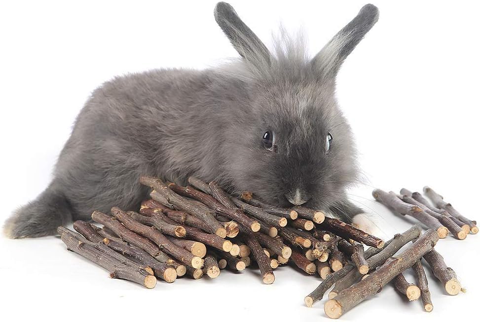 William Craft branche-pomme naturelle, idéal pour chinchillas, lapins et hamsters.
