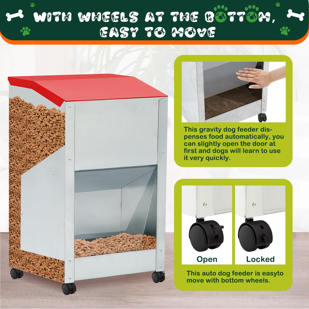 Willinglong feeder showing wall-mount or freestanding setup flexibility