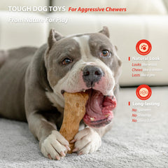 Willjoy bacon-flavor-dog-chew-toy-aggressive-chewers provides long-lasting flavor and engagement