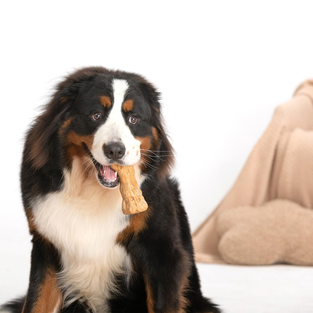 Willjoy durable-chew-toy-for-heavy-chewers designed for medium-to-large dogs