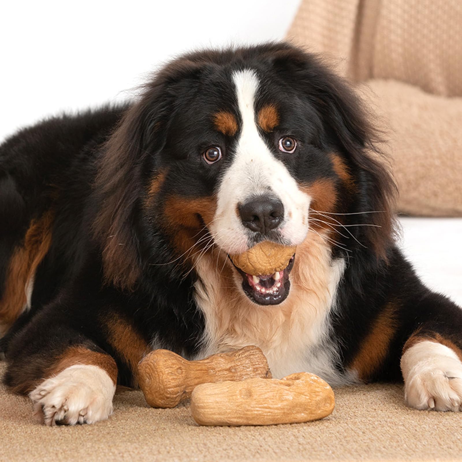 Willjoy durable-sturdy dog toy withstands heavy-chewing without splinters.