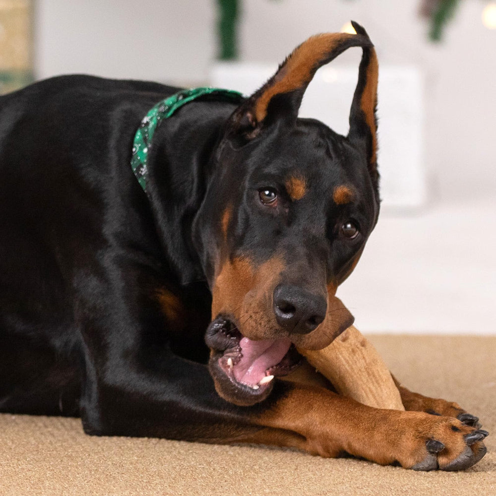 Willjoy gift-pack dog toys image highlights premium, ready-to-gift packaging.