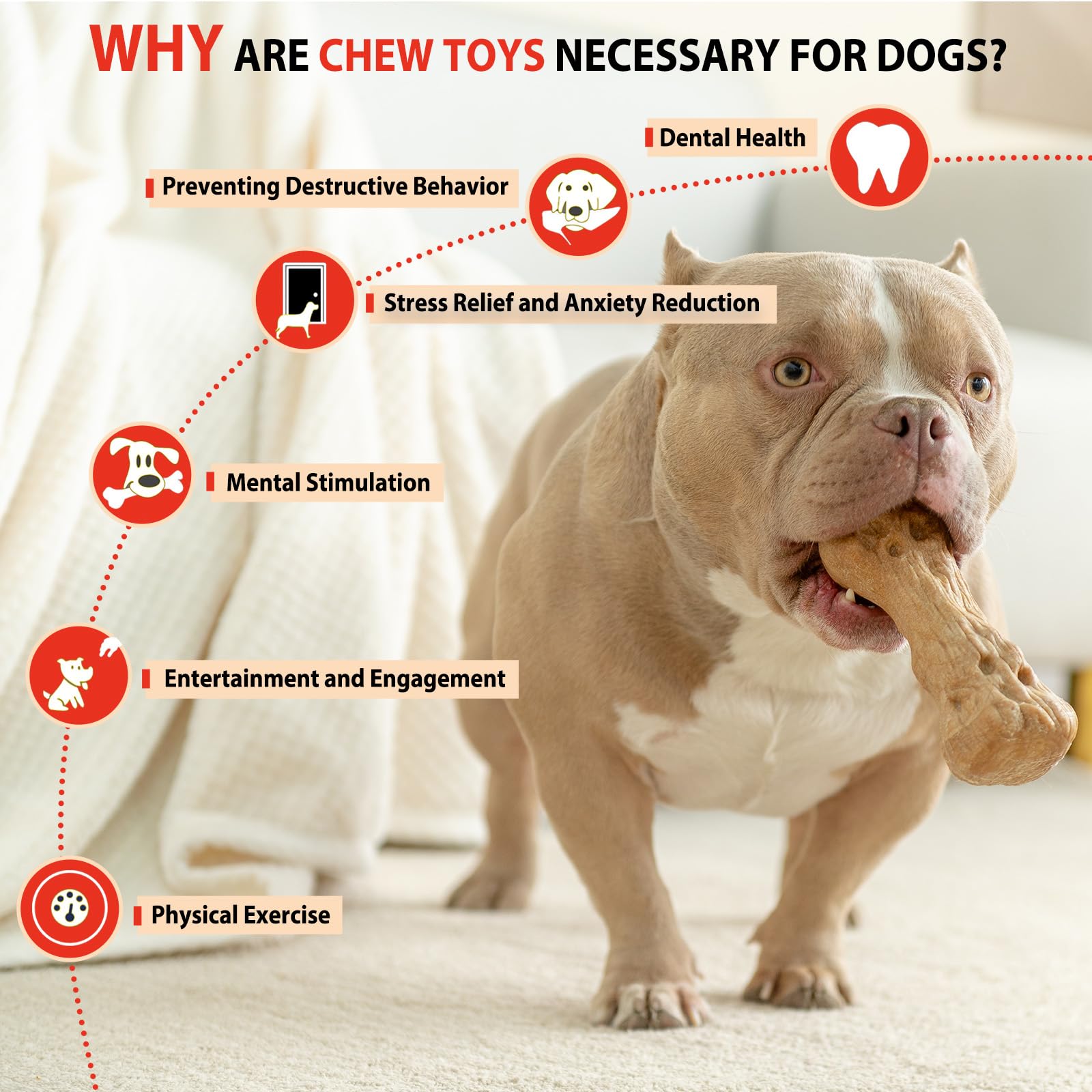 Willjoy protect-chompers-dog-toy helps curb furniture-chewing urges