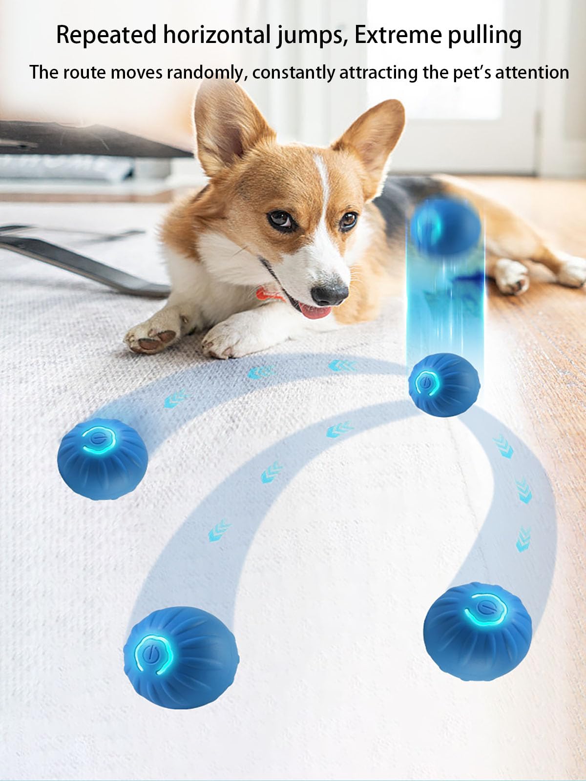 Winb Interactive LED Dog Ball LED light glow highlighting attention-grabbing glow