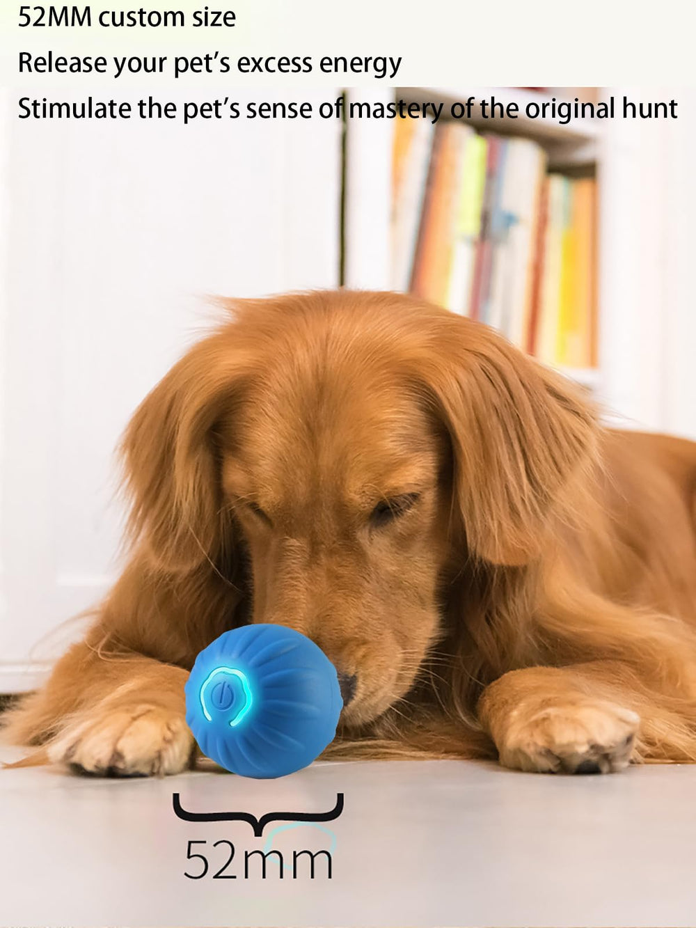 Winb Interactive LED Dog Ball small-dog-play demonstrating ideal size for small breeds