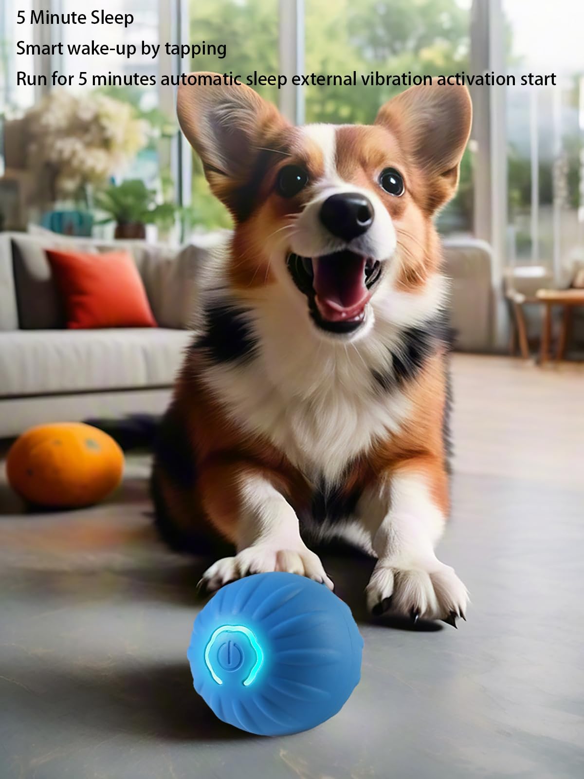 Winb Interactive LED Dog Ball USB Rechargeable feature enabling extended sessions