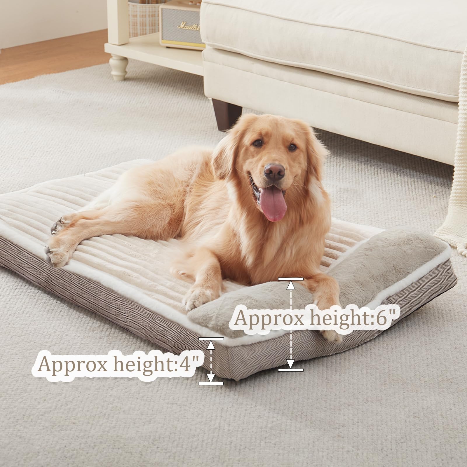 WindRACING dog bed vacuum-packed packaging restores shape after unboxing