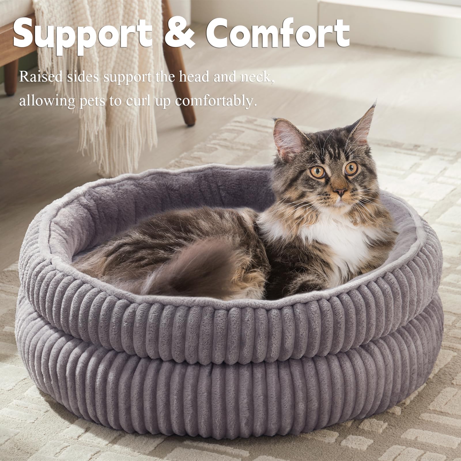 WINDRACING pet bed small-dog view showcases compact design for tiny breeds