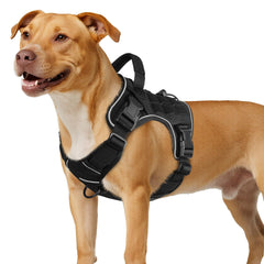 WINGOIN Black Tactical Dog Harness worn side-on for comfortable daily walking.
