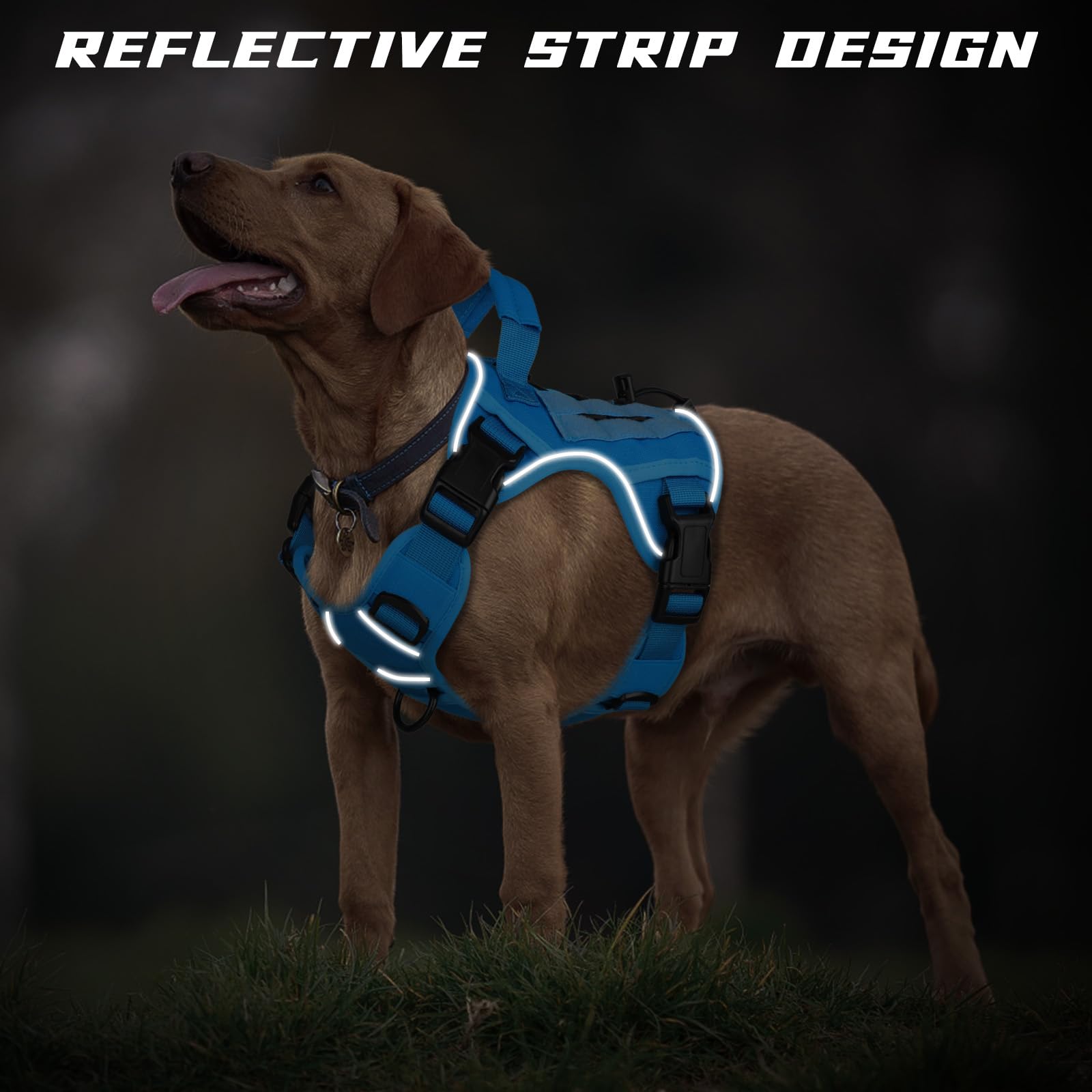WINGOIN Blue tactical dog harness D-rings closeup enables reliable leash management.