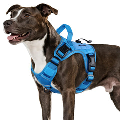WINGOIN Blue tactical dog harness front view shows secure adjustable fit for daily walks.