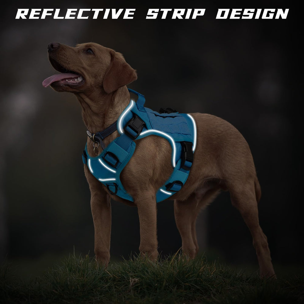 WINGOIN Blue Tactical Dog Harness handle and D-rings — enhanced control during training