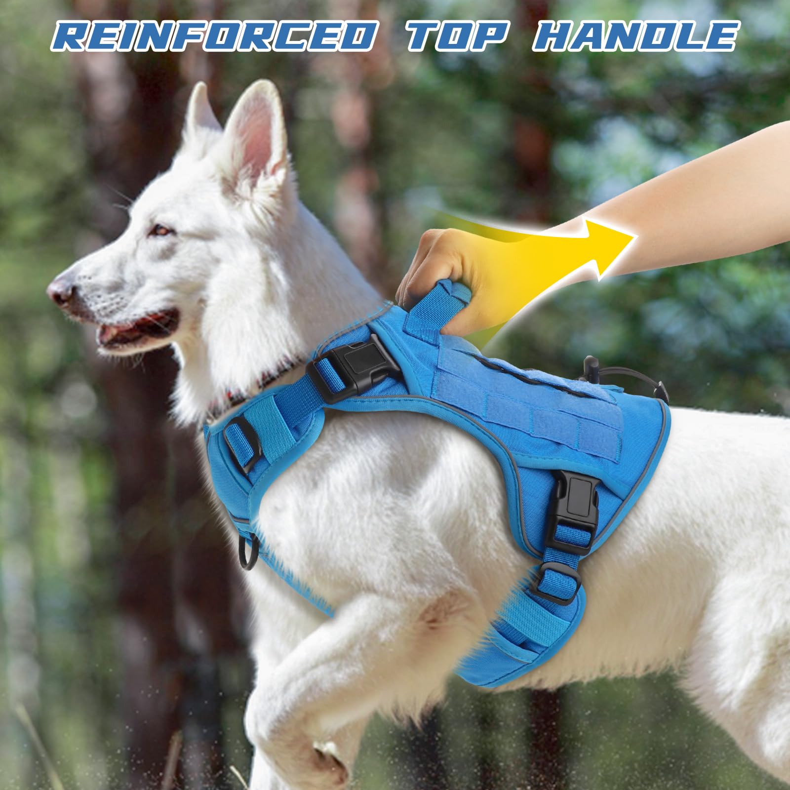 WINGOIN Blue Tactical Dog Harness reflective strip — safer evening walks