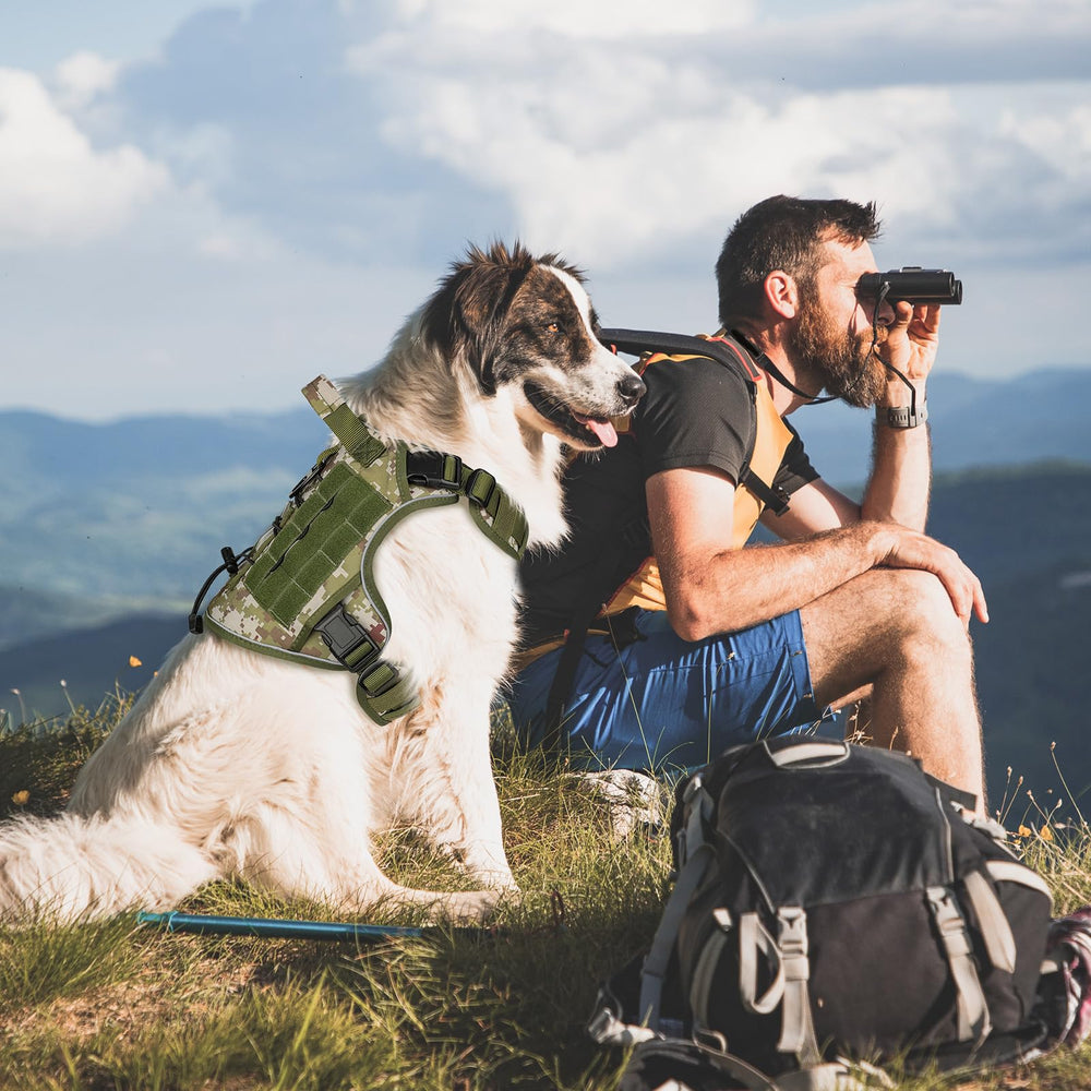WINGOIN harness handle closeup showing grip for controlled walking.
