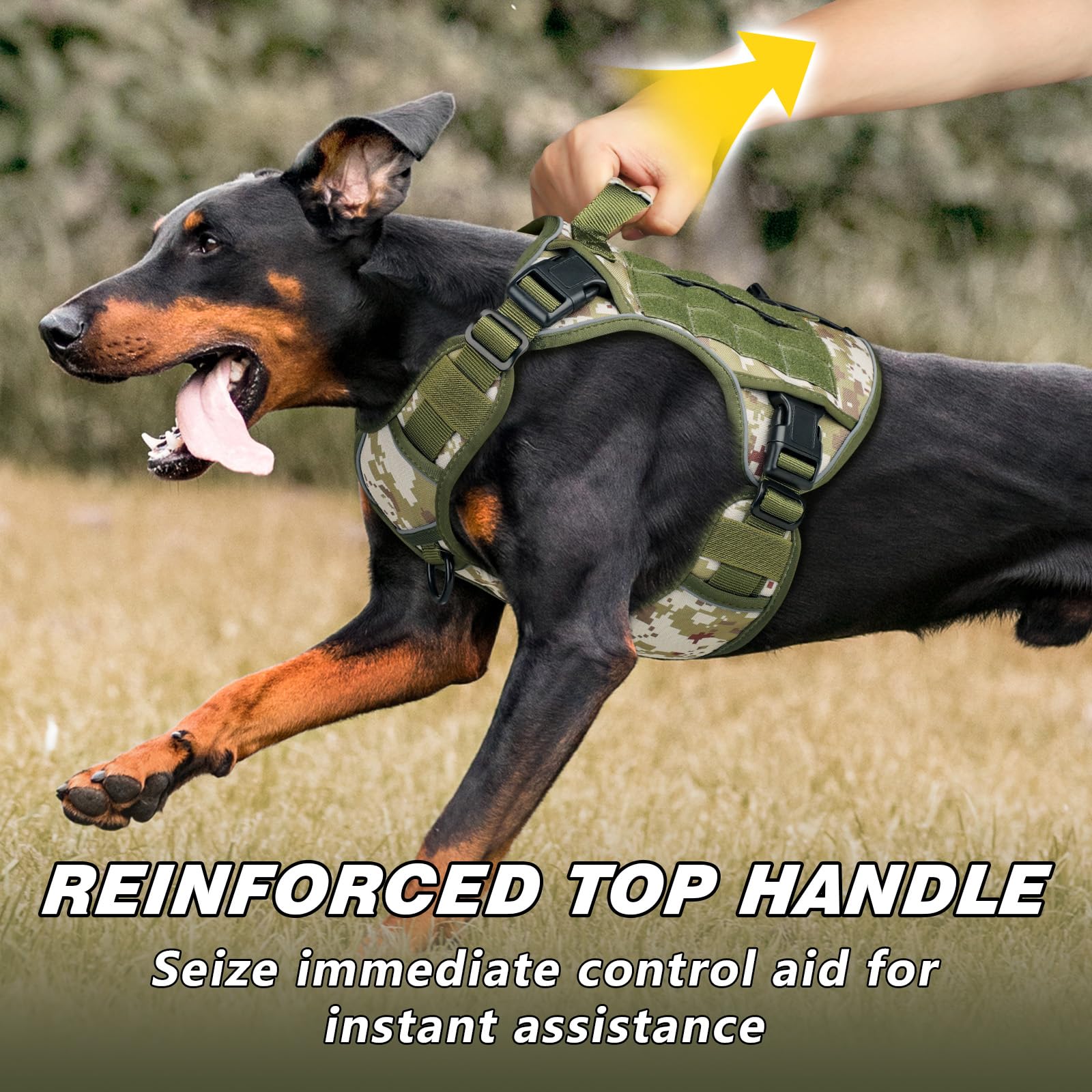 WINGOIN heavy-duty nylon closeup highlights sturdy stitching and 1000D fabric.