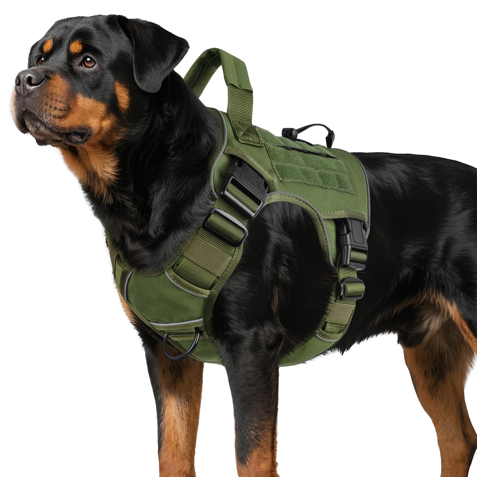 WINGOIN Green Tactical Dog Harness front view with rugged 1000D nylon for large dogs
